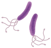 胃がんの発生要因